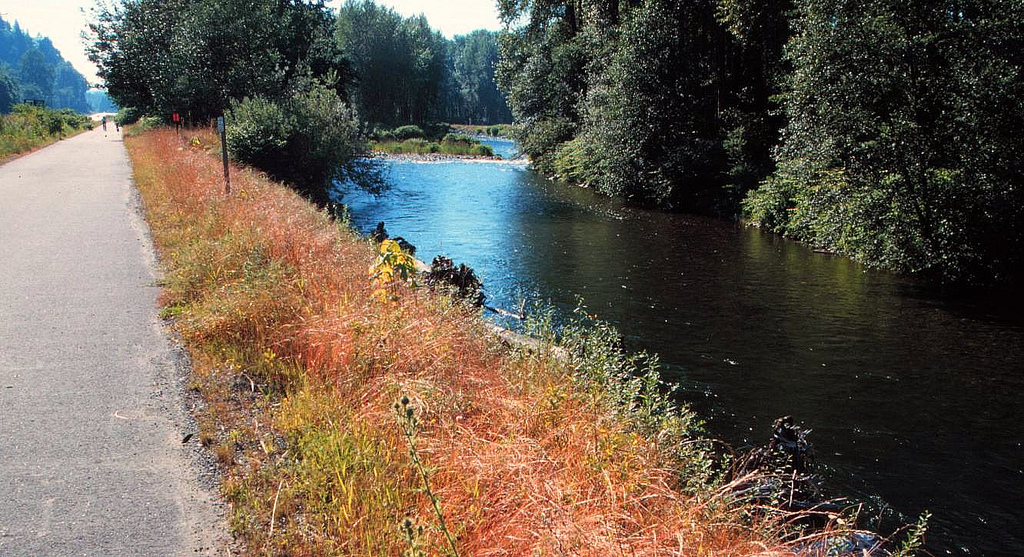 Sammamish Cedar River Trail